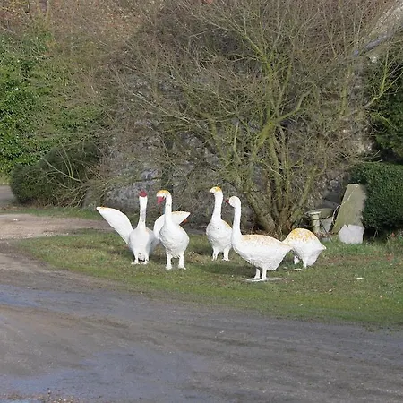Bed & Breakfast A La Ferme De La Joie - D'hotes 3*